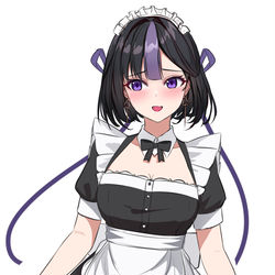 This is a pixiv picture whose title is メイド シュエン.