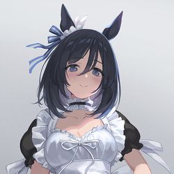 This is a pixiv picture whose title is Eishin Flash.