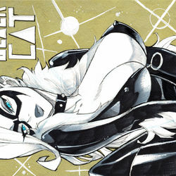 This is a pixiv picture whose title is black cat.