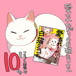 This is a pixiv picture whose title is 『愛されたがりの白猫ミコさん』発売まであと10日！.