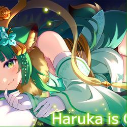 This is a pixiv picture whose title is Haruka Karibu.