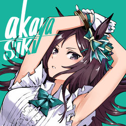 This is a pixiv picture whose title is メジロドーベル.