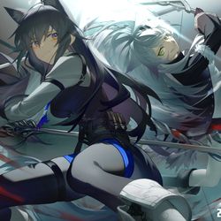This is a pixiv picture whose title is 双狼.