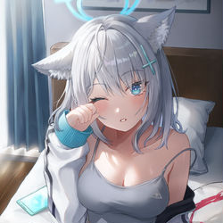 This is a pixiv picture whose title is 寝起きシロコ💙.