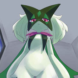 This is a pixiv picture whose title is Meowscarada looking down at me.
