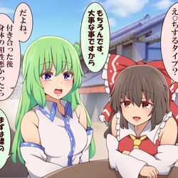 This is a pixiv picture whose title is 霊夢と早苗の休日.