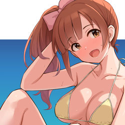 This is a pixiv picture whose title is 水着響子.
