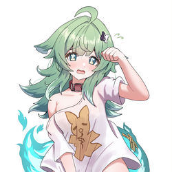 This is a pixiv picture whose title is Huohuo.