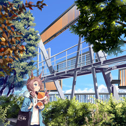 This is a pixiv picture whose title is 冬の本の表紙.