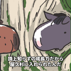 This is a pixiv picture whose title is 創作＆競走馬落書き詰4.