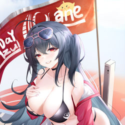 This is a pixiv picture whose title is 大凤.