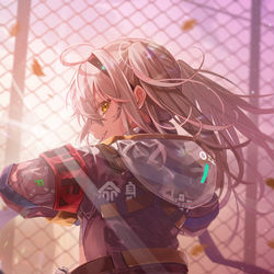 This is a pixiv picture whose title is うちの背中についてきんさい！.