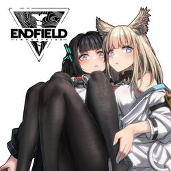 This is a pixiv picture whose title is アークナイツエンドフィールド初見.