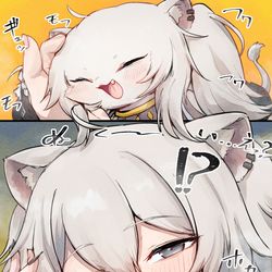 This is a pixiv picture whose title is どっちでぬくぬくする？🧶🦁.