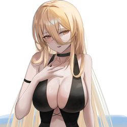 This is a pixiv picture whose title is 水着インプラカブル.