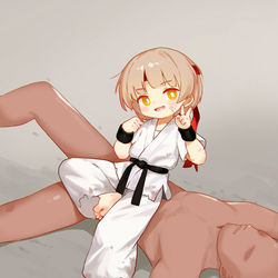 This is a pixiv picture whose title is 空手少女~.