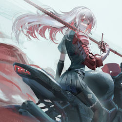 This is a pixiv picture whose title is 騎士.