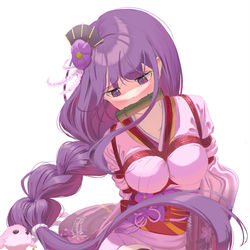 This is a pixiv picture whose title is raiden makoto.
