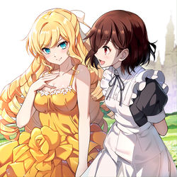 This is a pixiv picture whose title is パートナー.