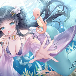 This is a pixiv picture whose title is 🫧🐲2024🐲🫧.