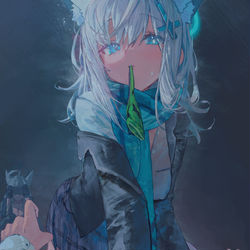 This is a pixiv picture whose title is Shiroko.