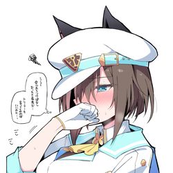This is a pixiv picture whose title is シュヴァルグラン.