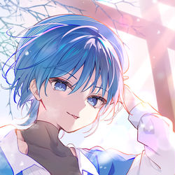 This is a pixiv picture whose title is 放浪者と初詣.