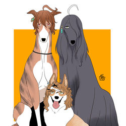 This is a pixiv picture whose title is 劇場版トリオ犬化.
