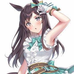 This is a pixiv picture whose title is 今年はベルちゃんの腋から始まります（？）.