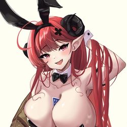 This is a pixiv picture whose title is バニーヒンデンブルグ.