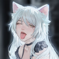 This is a pixiv picture whose title is 猫白.