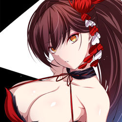 This is a pixiv picture whose title is 瑞鶴.