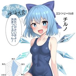 This is a pixiv picture whose title is 霧の湖水泳大会主催者のチルノ.