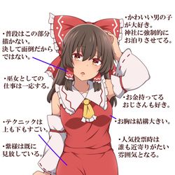 This is a pixiv picture whose title is うちの霊夢さんの勝手な設定.