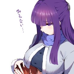 This is a pixiv picture whose title is シュタルクの顔が見えないフェルン.