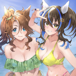 This is a pixiv picture whose title is ヘリパマ水着.