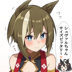 This is a pixiv picture whose title is コスプレシュヴァルちゃん.
