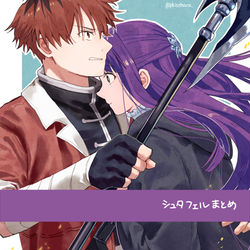 This is a pixiv picture whose title is シュタフェルまとめ.