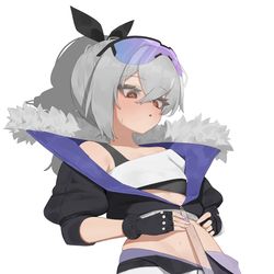 This is a pixiv picture whose title is 銀狼.