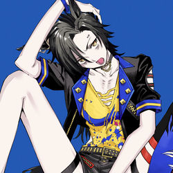 This is a pixiv picture whose title is エアシャカール.