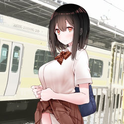 This is a pixiv picture whose title is 通勤道中でぱんつを見せてくる黒髪ボブJK.