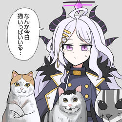This is a pixiv picture whose title is ゲヘナに大量発生する猫.