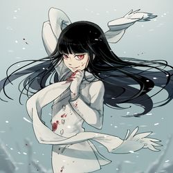 This is a pixiv picture whose title is 冬の王.