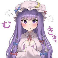 This is a pixiv picture whose title is おこなパチュリー様.