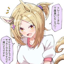 This is a pixiv picture whose title is サッカーに誘うナリタトップロード.