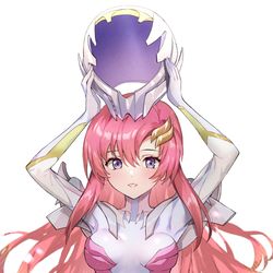 This is a pixiv picture whose title is ラクス・クライン.