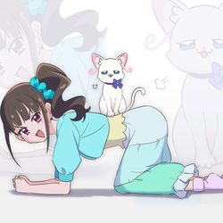 This is a pixiv picture whose title is 猫屋敷さんち.