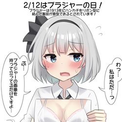 This is a pixiv picture whose title is 2/12はブラジャーの日！.