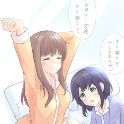 This is a pixiv picture whose title is あだしま.