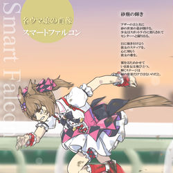 This is a pixiv picture whose title is 名ウマ娘の肖像：スマートファルコン.